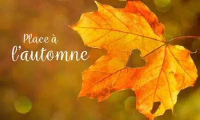 ecureuil automne